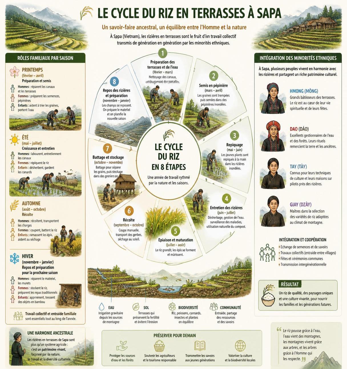 découvrez les meilleures saisons pour visiter sapa et ses magnifiques rizières en terrasses, et profitez pleinement des paysages époustouflants tout au long de l'année.