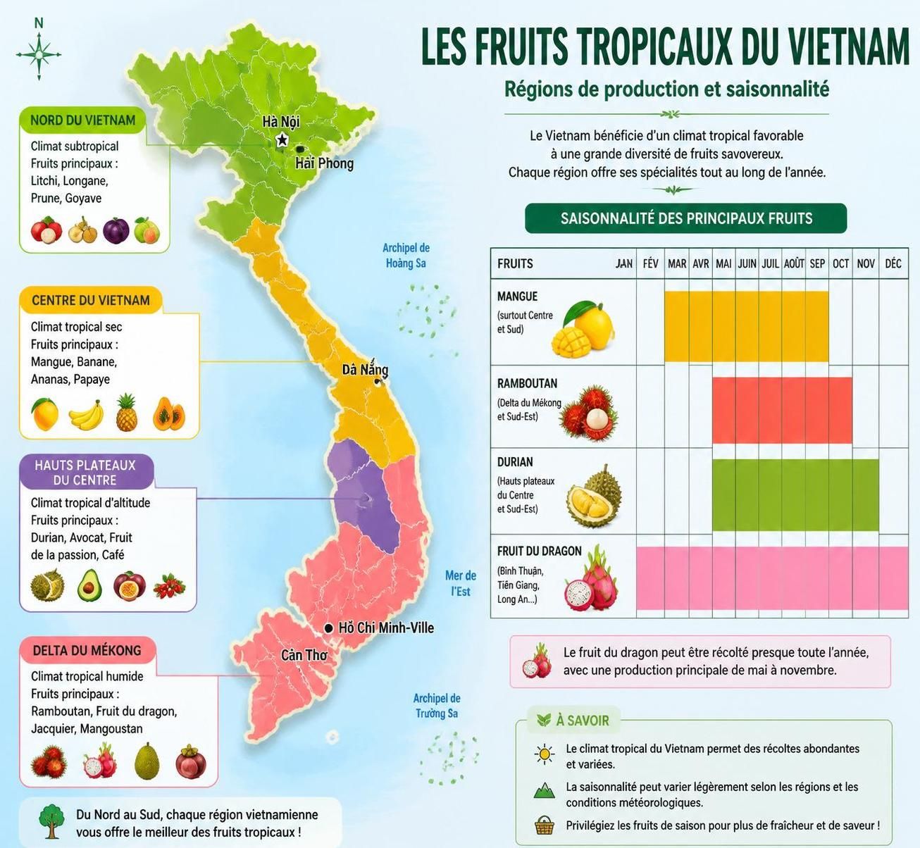découvrez les fruits tropicaux du vietnam, leur saison de récolte, leurs prix et apprenez à les reconnaître facilement grâce à notre guide complet.
