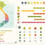 découvrez les fruits tropicaux du vietnam : leur saison de récolte, leurs prix et des conseils pour les reconnaître facilement.