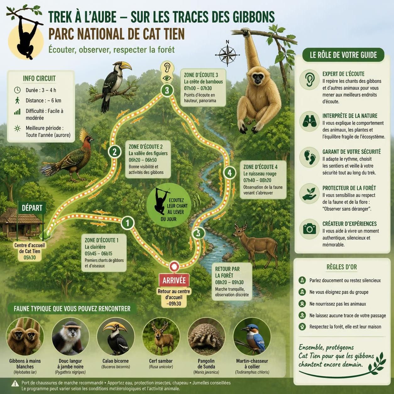 dĂ©couvrez l'aventure unique d'une nuit dans la jungle de cat tien pour observer les gibbons dans leur habitat naturel, une expĂ©rience inoubliable au cĆur de la forĂȘt vietnamienne.