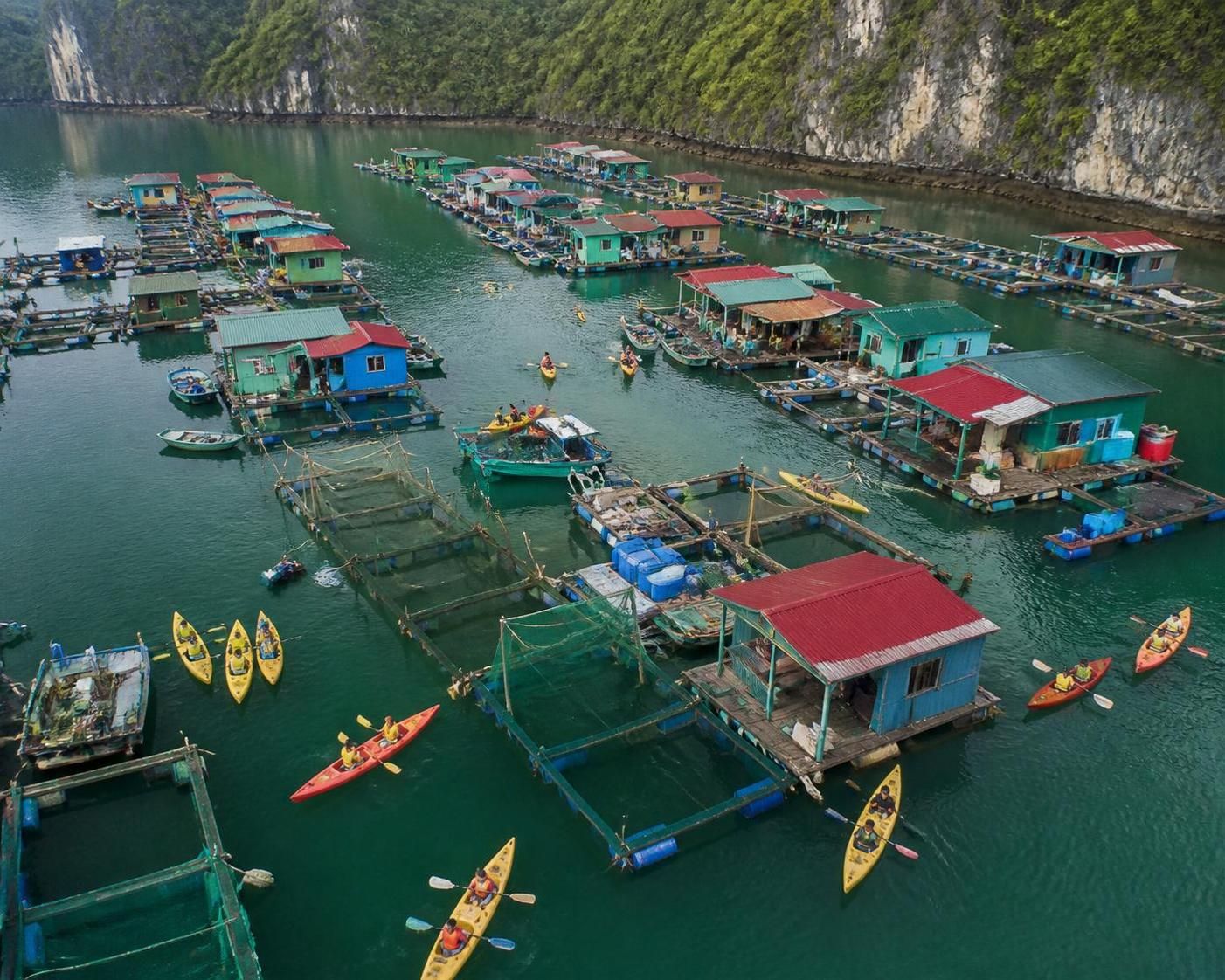découvrez la baie de lan ha en kayak, une alternative paisible à ha long offrant des paysages magnifiques et une expérience sans foule.