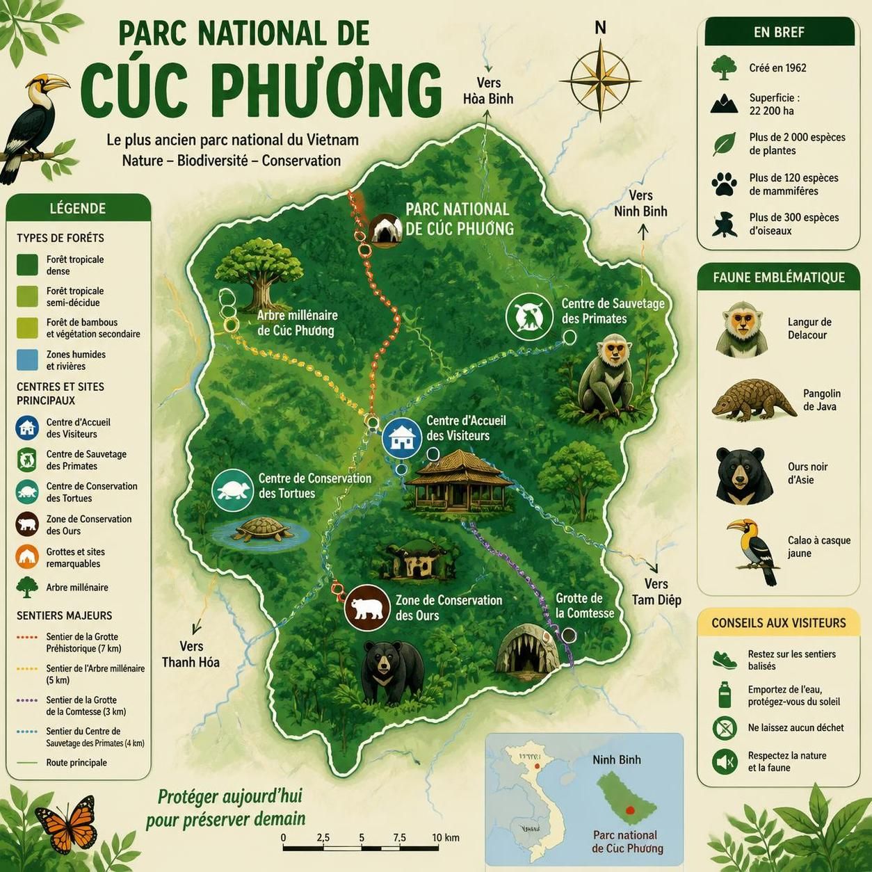 découvrez le parc national de cúc phương, un trésor naturel abritant des gibbons, des tortues centenaires et une forêt primaire millénaire, pour une aventure exceptionnelle au cœur de la biodiversité.