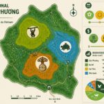découvrez le parc national de cúc phương, un trésor naturel abritant des gibbons, des tortues centenaires et une forêt primaire millénaire, idéale pour les amoureux de la nature et de la biodiversité.