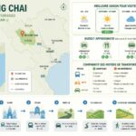 découvrez mu cang chai et ses rizières en terrasses spectaculaires. guide pratique pour visiter ce site naturel exceptionnel et savoir comment s'y rendre facilement.