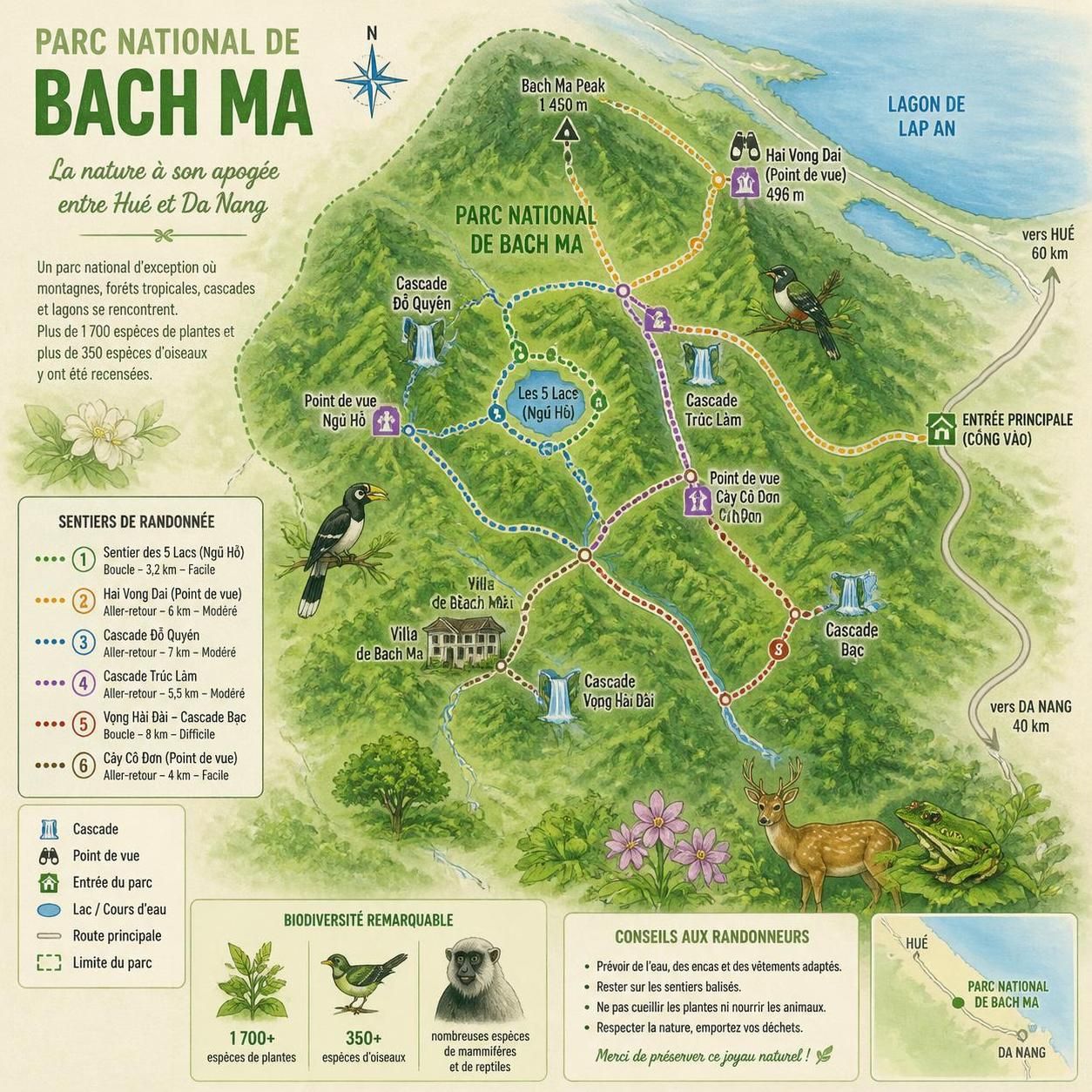 découvrez le parc national de bach ma, une forêt tropicale luxuriante située entre huế et da nang, idéale pour les amoureux de la nature et d'aventure.