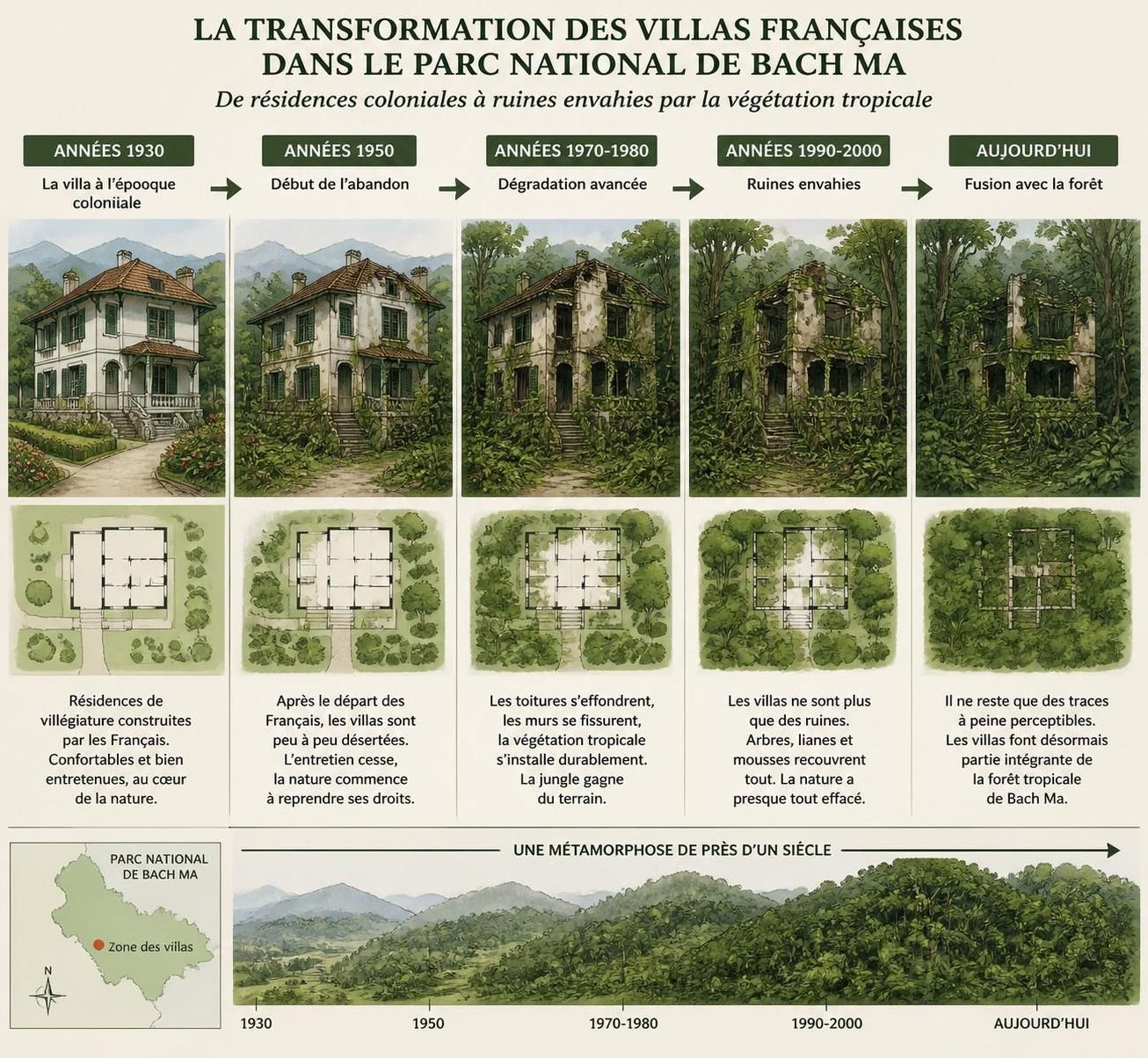 découvrez le parc national de bach ma, une forêt tropicale luxuriante située entre huế et da nang, idéale pour les amateurs de nature, de randonnée et de biodiversité.