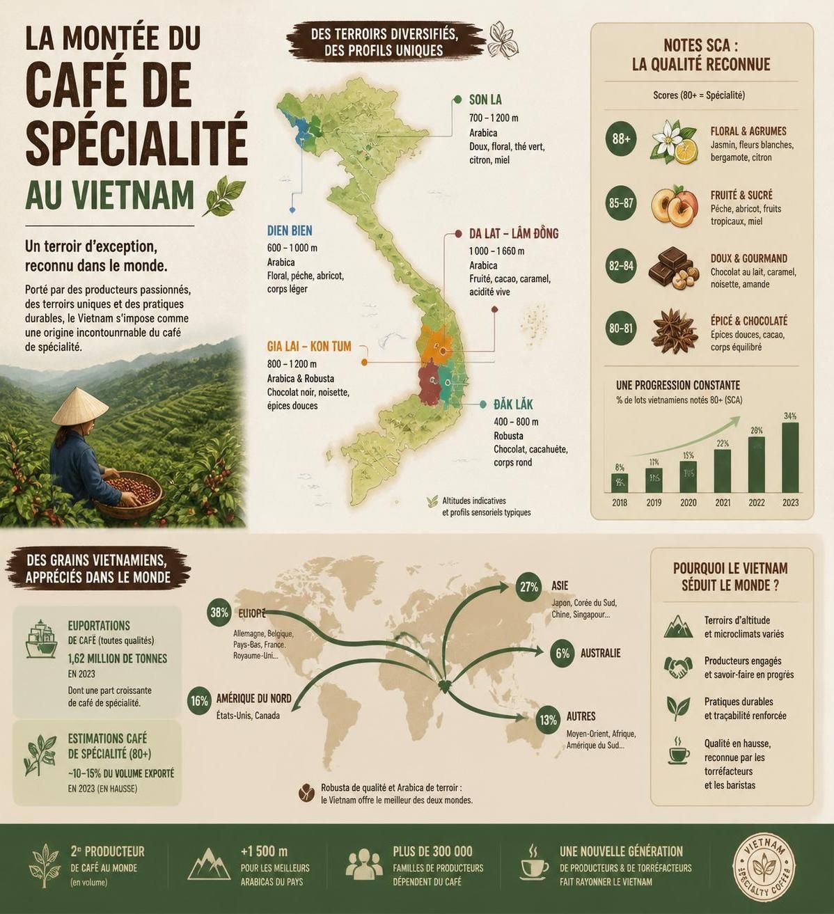 découvrez la troisième vague du café de spécialité au vietnam et le rôle clé des petits producteurs des hautes terres dans cette révolution aromatique.