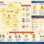 découvrez le caodaïsme à tây ninh, une religion unique du vietnam, célèbre pour ses cérémonies colorées et spectaculaires alliant spiritualité et culture locale.