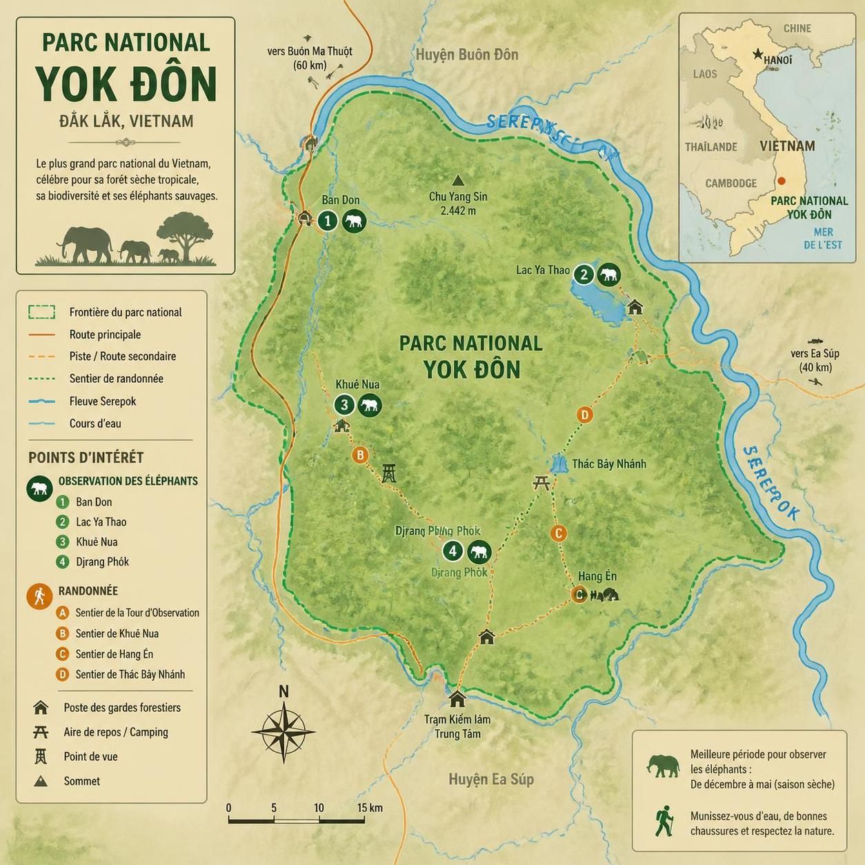 découvrez le parc national de yok đôn à đắk lắk, un havre naturel où vous pouvez observer les éléphants en semi-liberté au cœur de leur forêt tropicale préservée.