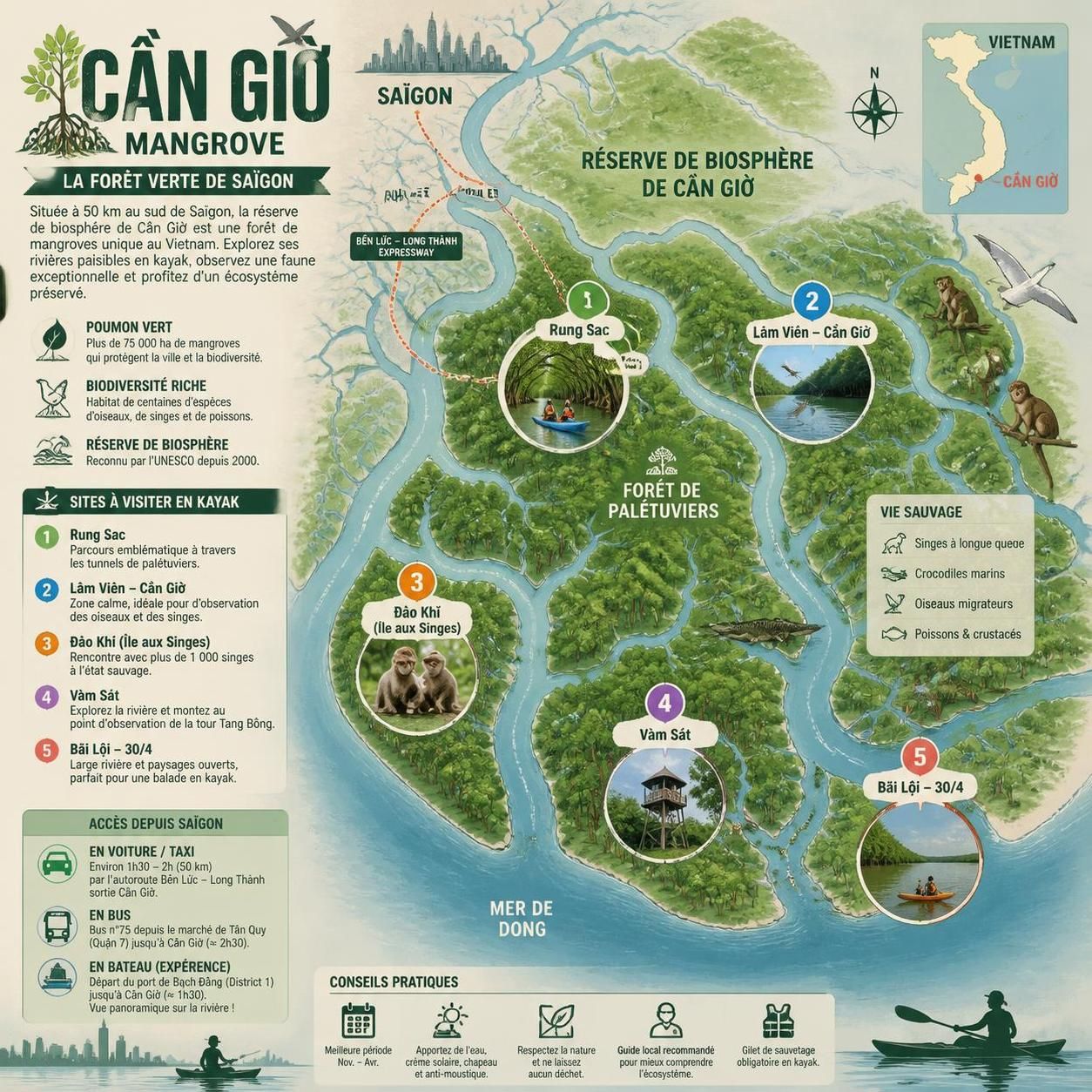 découvrez les mangroves de cần giờ, une forêt aquatique unique à une heure de saïgon, idéale pour une aventure en kayak au cœur de la nature préservée.