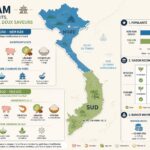 découvrez le nem rán du nord et le chả giò du sud, deux rouleaux frits emblématiques qui illustrent la diversité et la richesse des traditions culinaires vietnamiennes.