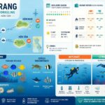découvrez la plongée et le snorkeling à nha trang : explorez les fonds marins colorés de hòn mun et hòn tam, et découvrez la vraie beauté sous l'eau.