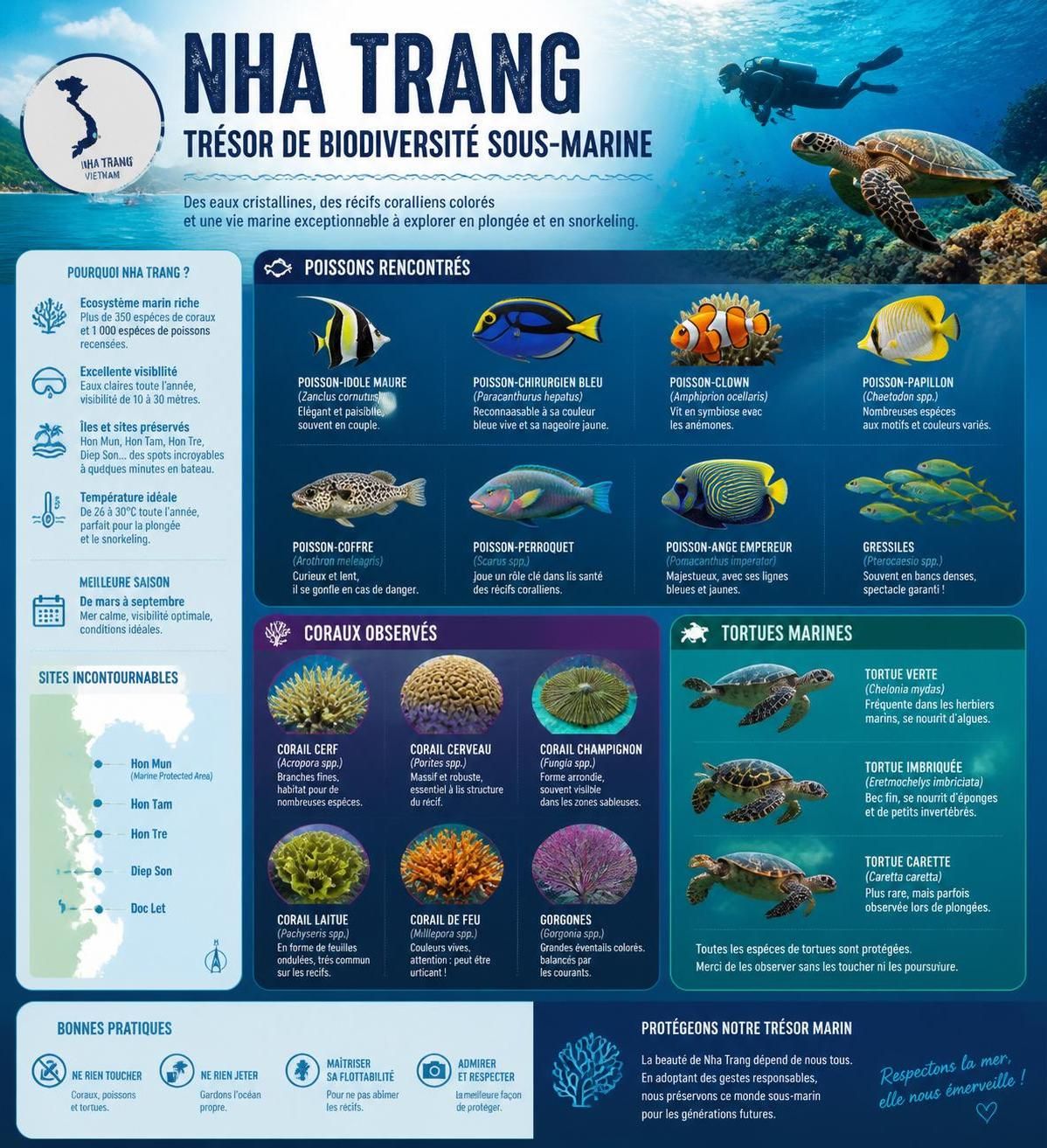 découvrez la plongée et le snorkeling à nha trang, explorez les sites emblématiques de hòn mun et hòn tam, et plongez au cœur de la biodiversité marine pour voir ce qu'on trouve vraiment sous l'eau.