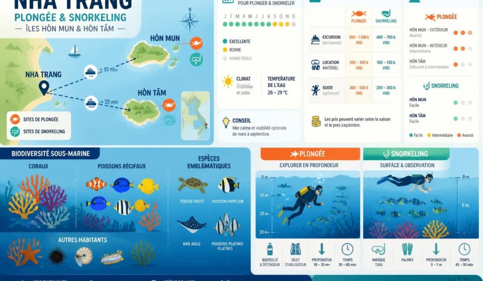 découvrez la plongée et le snorkeling à nha trang : explorez les fonds marins colorés de hòn mun et hòn tam, et découvrez la vraie beauté sous l'eau.