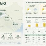 La cuisine de Huế : royale, épicée et la plus élaborée du Vietnam découvrez tam đảo, la station de montagne mystérieuse située à seulement 85 km de hanoï, idéale pour échapper à la foule et profiter d'un climat brumeux unique, un secret bien gardé des voyageurs étrangers.