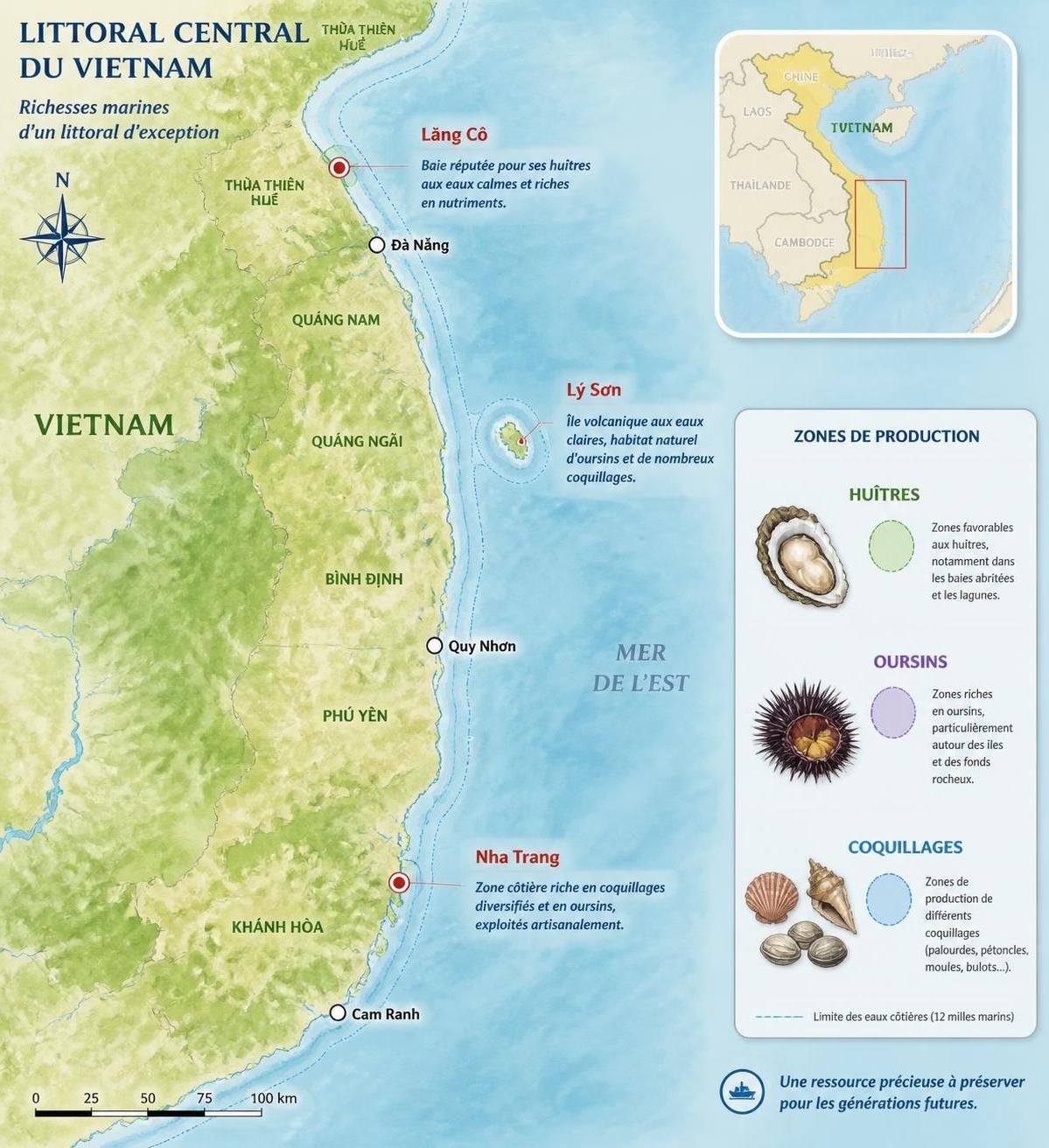 dĂ©couvrez les dĂ©lices des fruits de mer de la cĂŽte centrale du vietnam : huĂźtres fraĂźches de lÄng cĂŽ, oursins savoureux de lĂœ sÆĄn et coquillages typiques de nha trang, pour une expĂ©rience culinaire authentique.
