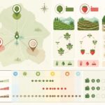 découvrez les spécialités culinaires uniques de đà lạt, entre artichauts frais, fraises sucrées et bánh tráng nướng savoureux, reflet d'une gastronomie d'altitude riche en saveurs et traditions.