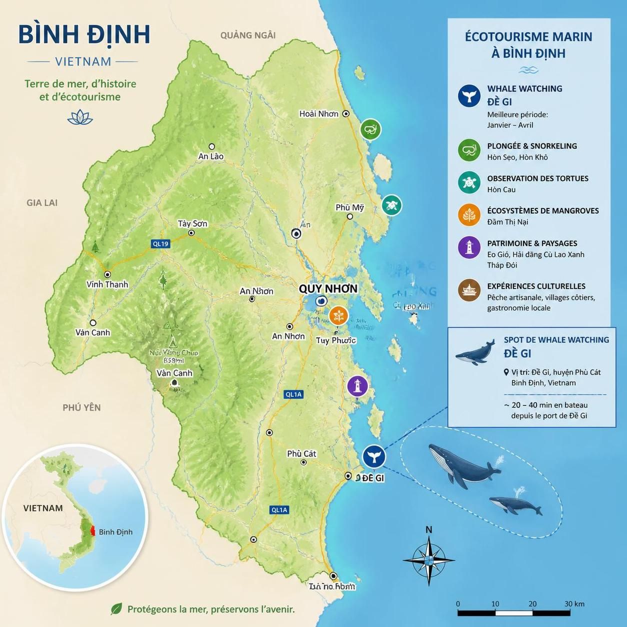 découvrez l'observation des baleines à đề gi (bình định), le seul site officiellement documenté de whale watching au vietnam, offrant une expérience unique en pleine nature.