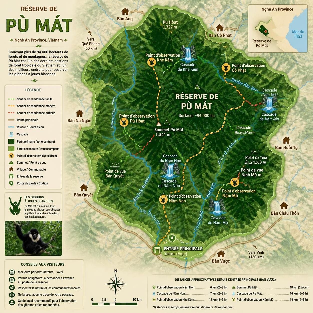 découvrez la randonnée dans la réserve de pù mát à nghệ an, une forêt primaire du nord-centre du vietnam, habitat des gibbons fascinants. explorez la biodiversité exceptionnelle et vivez une aventure nature unique.