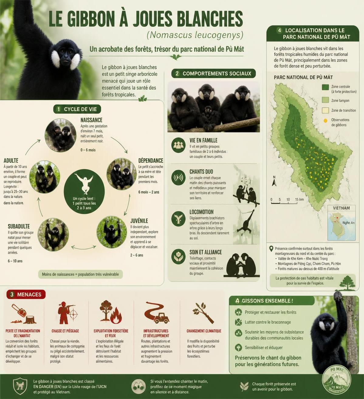 découvrez la randonnée dans la réserve de pù mát à nghệ an, une forêt primaire du nord-centre abritant une biodiversité exceptionnelle, notamment les gibbons, dans un cadre naturel préservé.