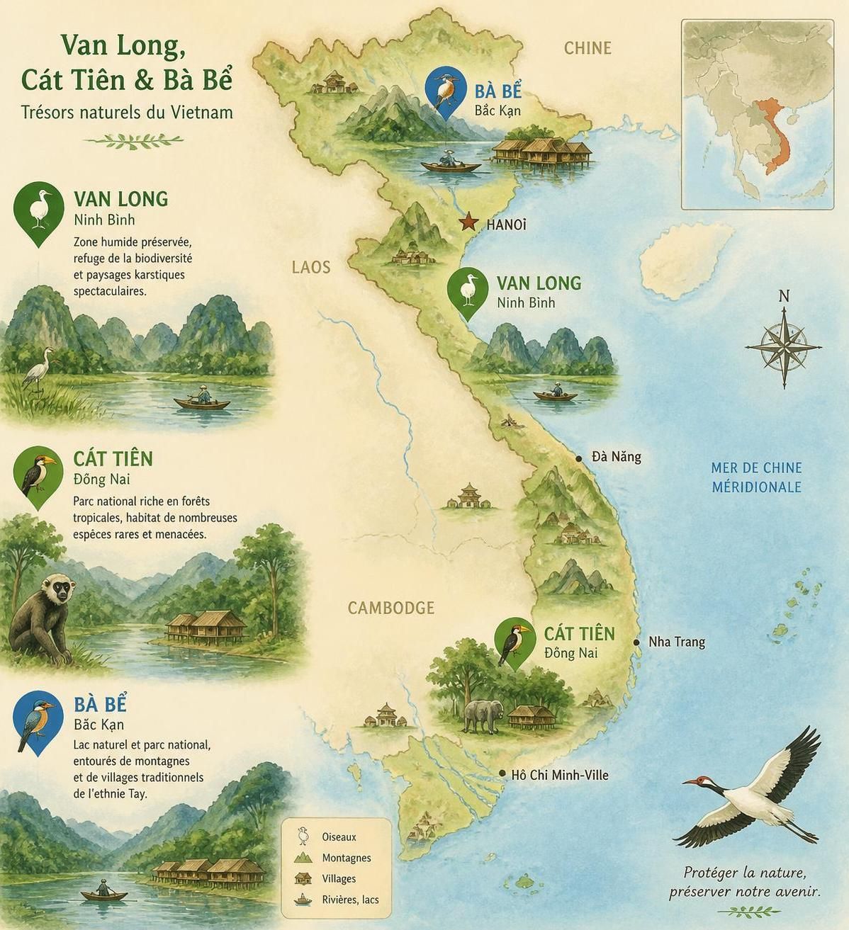 découvrez les meilleurs sites d'observation des oiseaux au vietnam, dont van long, cát tiên et bà bể, des lieux privilégiés que les ornithologues passionnés gardent précieusement.