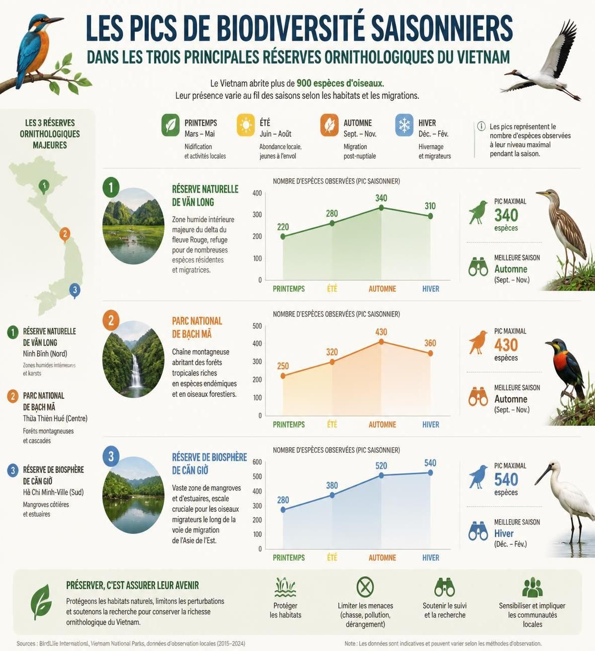 découvrez les sites incontournables d'observation des oiseaux au vietnam : van long, cát tiên et bà bể, des lieux précieux et secrets prisés par les ornithologues pour une expérience unique au cœur de la nature vietnamienne.