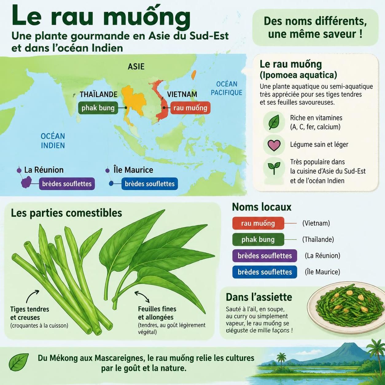 découvrez le rau muống sauté à l’ail, un légume incontournable des tables vietnamiennes que les voyageurs finissent toujours par réclamer.
